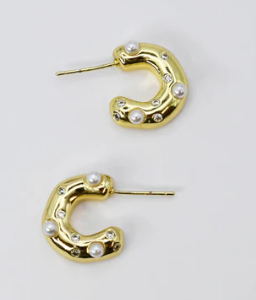 Gleaming C Earrings - D6